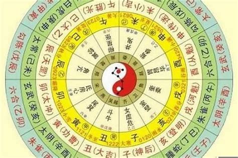 十二生肖五行表查询如何根据八字分析命理属相五行 八字 若朴堂文化