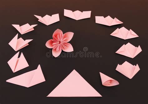 Origami Flower Instruction. Stock Photo - Image of floral, artistic ...