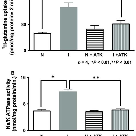 A Effect Of ATK On SN2 In Intact Crypt Cells Na Dependent Glutamine