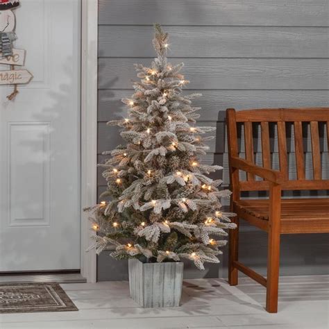 Sterling Tree Company 45 Ft Grand Fir Pre Lit Potted Flocked