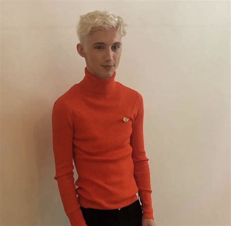 Pin By 𝐌𝐚𝐫𝐢𝐞 On Troye Men Sweater Troye Sivan Jacobs