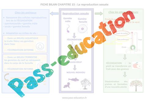 La reproduction sexuée 5ème Séquence complète PDF à imprimer