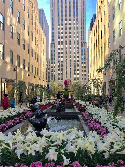 Easter Bunny At Rockefeller Center Street View Paseo Rockefeller Center