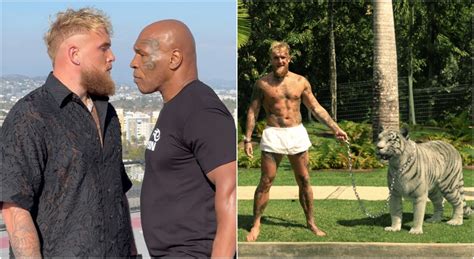 Teddy Atlas inför Mike Tyson vs Jake Paul Väldigt farlig match