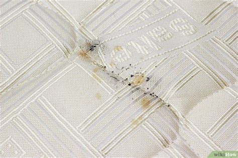 Sheet Bed Bug Stains On Mattress : The Easiest Way To Spring Clean Your ...