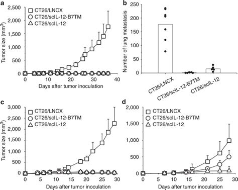 Antitumor Activity Of Ct26 Scil 12 B7tm Cells In Balb C Mice A Download Scientific Diagram