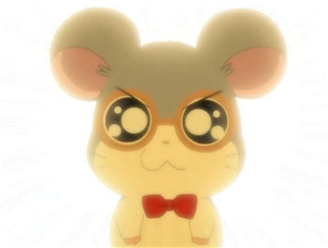 Hamtaro Dexter