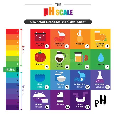 O Diagrama De Escala De Cores Universal Do PH Do Indicador Da Escala Do