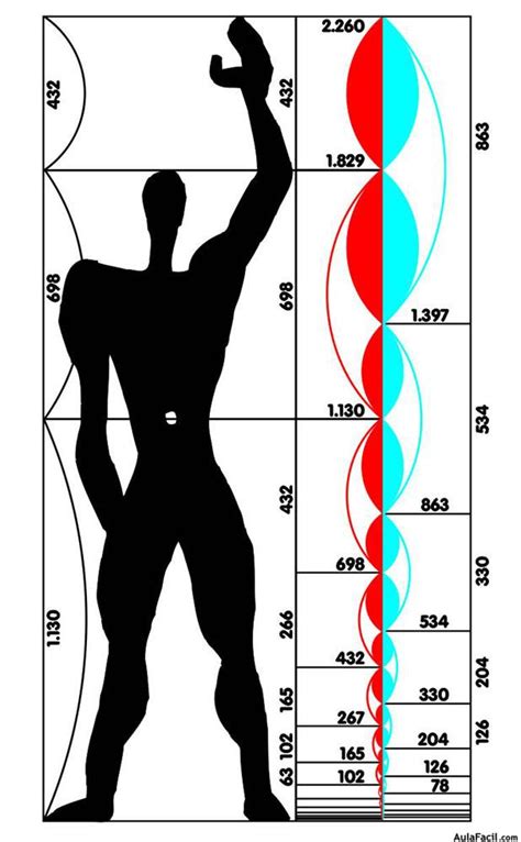 Anatom A Y Proporci N De La Figura Humana Educaci N Pl Stica Y