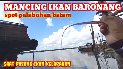 Spot Mancing Pelabuhan Batam Saat Air Pasang Ikan BARONANG Pada Kumpul