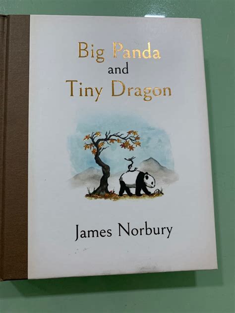 James Norbury Big Panda And Tiny Dragon Book Hobbies Toys Books