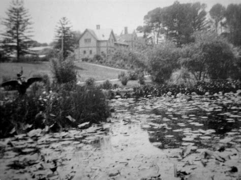 View Of The Adelaide Lunatic Asylum Glenside Hospital Historical