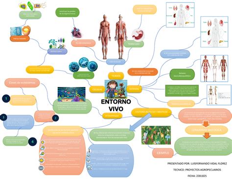 Mapa Mental Entorno Vivo Porn Sex Picture