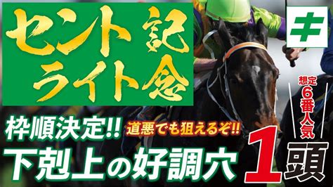 セントライト記念 2022 【予想調教】心身両面で急上昇中！ジョッキー＆道悪も魅力の「★あの馬」を好調教馬に指名！ Youtube