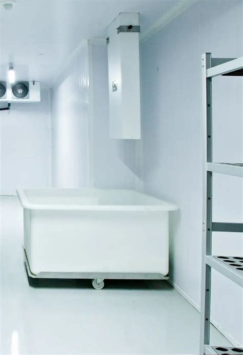 1 Mt Walk In Deep Freezer At ₹ 350000piece In Bandipur Id 2853168739097