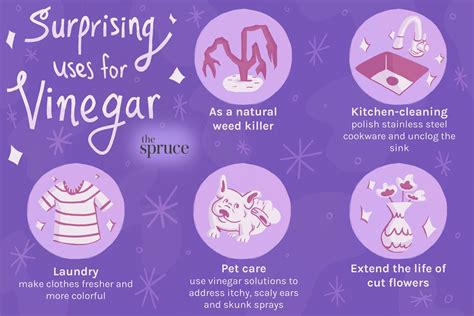 10 Surprising Uses For Vinegar 2024