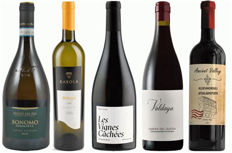 Best Buys From Naked Wines This Autumn Decanter