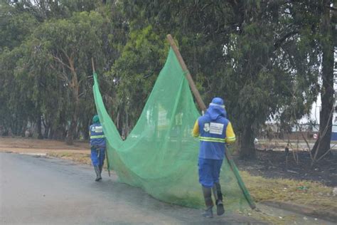 Mutir O De Limpeza Na Morada Dos P Ssaros Vias E Rea Verde Recebem