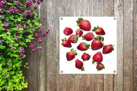 Tuin Decoratie Aardbei Fruit Wit 30x40 Cm Bol