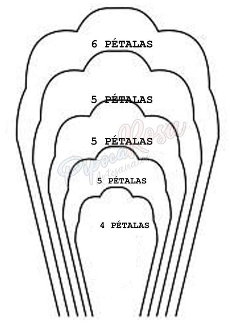 Imagenes De Moldes De Flores De Papel Gigantes 21E