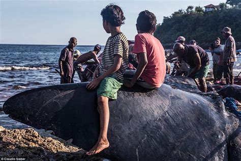 Whale Hunting Indonesia Village Where Whales Are Killed For Food Graphics Travel Nigeria