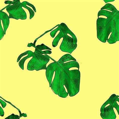 Vector Seamless Pattern Colorful Green Monstera Palm Leaves On A