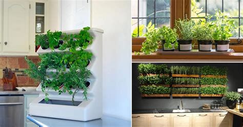 20 Indoor Kitchen Garden Ideas | Herb Garden in the Kitchen