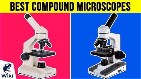 10 Best Compound Microscopes 2018 Youtube