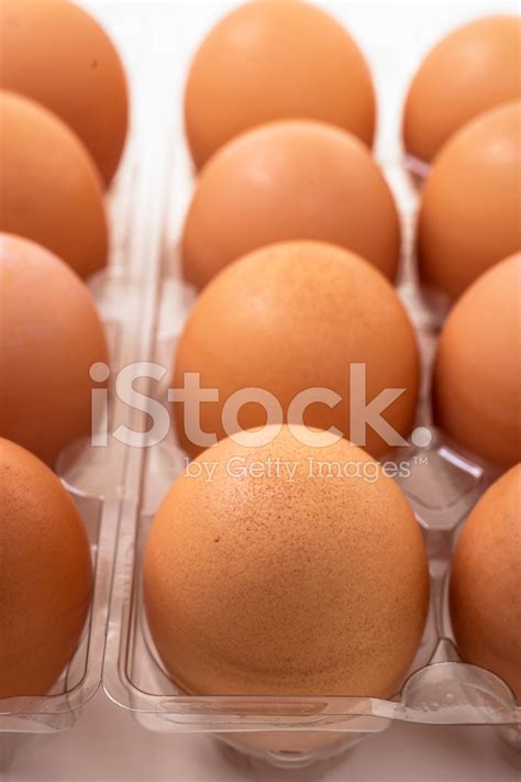 Group Of Brown Organic Chicken Eggs In Plastic Holder Stock Photo