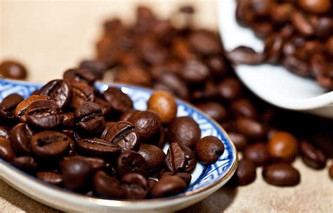 Banco de imagens Comida produzir beber cafeína avelã Arábica