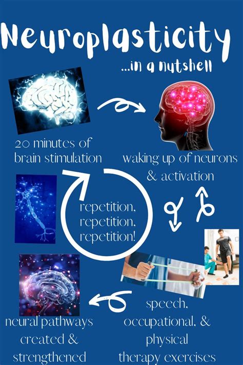 Neuroplasticity For Stroke Recovery Neuroplasticity Brain Stimulation Stroke Recovery