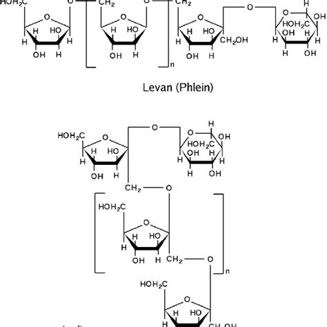 10 – General structure of two fructans Levan and Inulin by Meier and ...