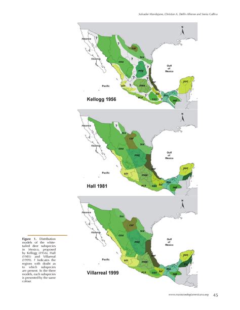 Distribuci N Subespecies De Venado Cola Blanca