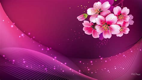 Apple Blossom Pink Stars Glow Wine Sakura Magenta Shine Spring Apple Blossoms Hd