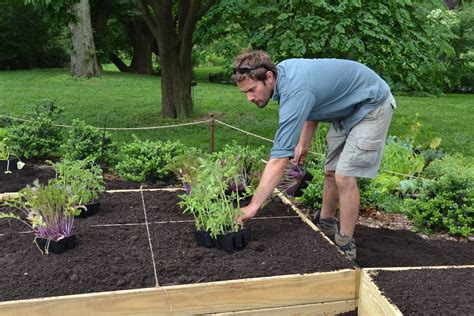 18 Raised Bed Lasagna Gardening Ideas To Consider SharonSable