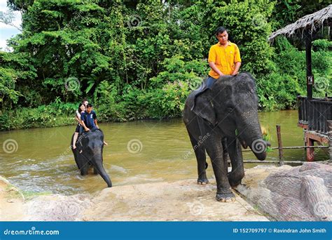 Kuala Gandah Elephant Orphanage Sanctuary Editorial Photography - Image of kuala, gandah: 152709797