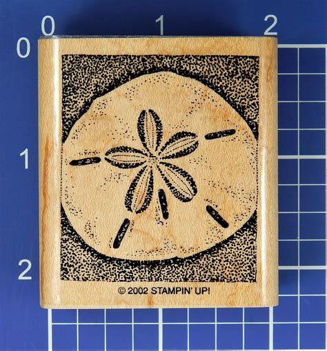 SAND DOLLAR Mounted Rubber Stamp By Stampin Up Etsy Stampin Up