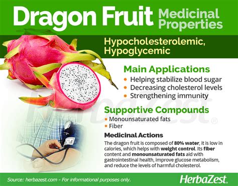 Dragon Fruit | HerbaZest