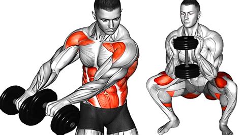 Best Dumbbell Exercises For Building Muscle At Home Dumbbell