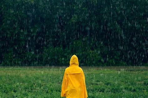 18 Rain Facts That Will Blow Your Mind