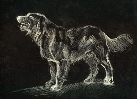 How To Draw A Ghost Dog