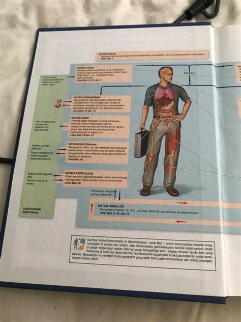 Buku Sherwood Fisiologi Manusia Edisi 9 Buku Alat Tulis Buku Di