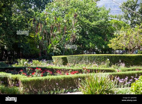 Company Gardens Cape Town South Africa Stock Photo Alamy