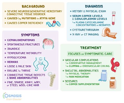 Menkes Disease: What It Is, Causes, Signs, Symptoms, and More | Osmosis