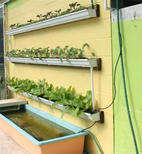 DIY Rain Gutter Aquaponic System Off Grid World