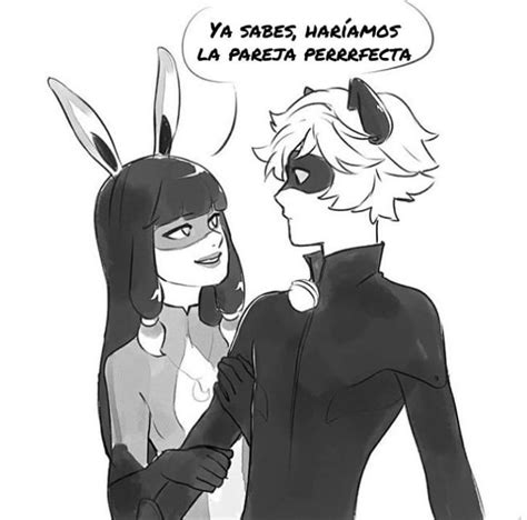 Miraculous Ladybugcómicladynoir •miraculous Ladybug Español• Amino