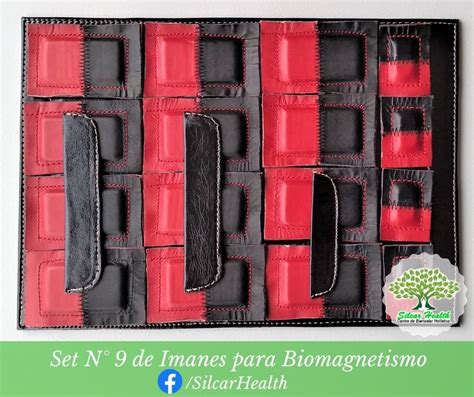 Set N9 Imanes Bipolares Para Terapia De Biomagnetismo Y