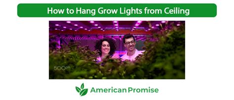 How To Hang Grow Lights From Ceiling Explained In Steps American