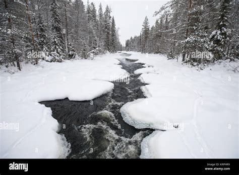 Icy River Flowing Through A Beautiful Snowy Winter Scenery In Oulanka