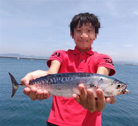 Mtmts さんの 2024年07月07日のソウダガツオの釣り・釣果情報千葉県 館山湾 アングラーズ 釣果500万件の魚釣り情報サイト